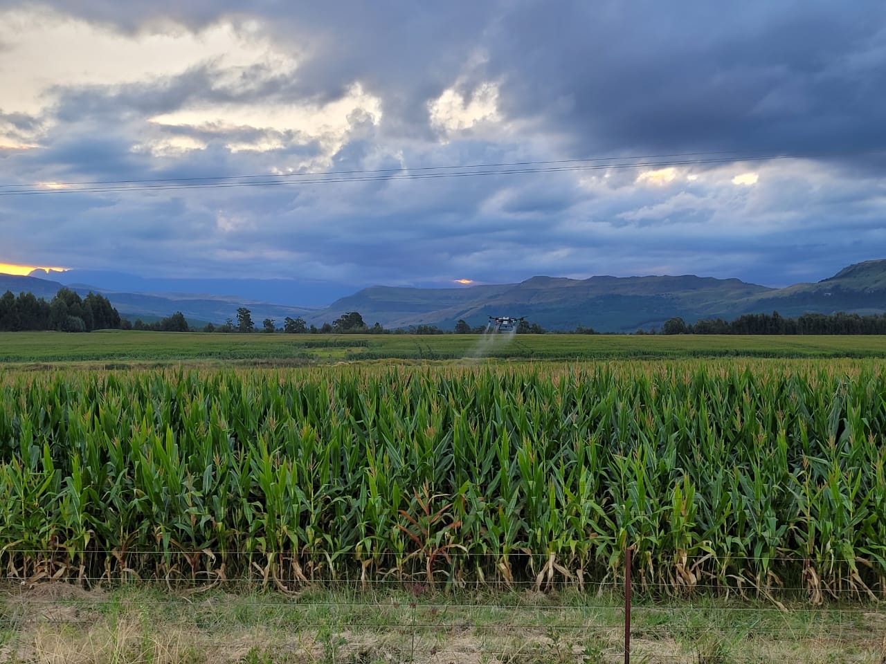 CCR Agritech